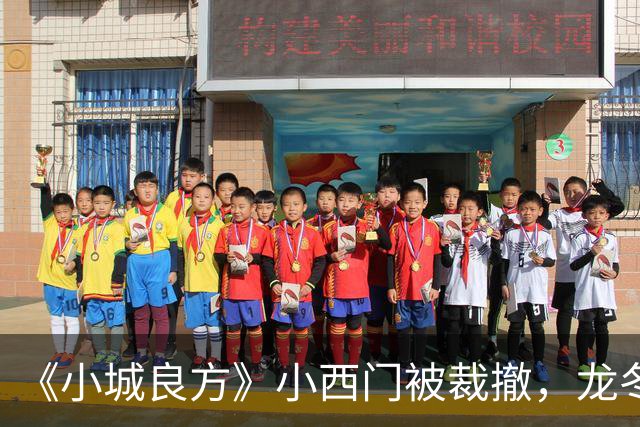 《小城良方》小西门被裁撤，龙冬冬一席话，数千人请命保住小西门，难怪刘铮亮成主任