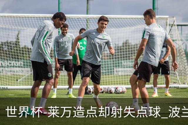 世界杯-莱万造点却射失点球 波兰交白卷平墨西哥