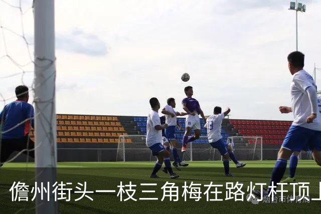 儋州街头一枝三角梅在路灯杆顶上开花，被赞“全网最努力”，园林管理局：其生长状况良好