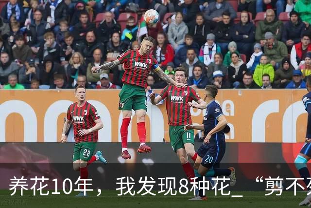养花10年，我发现8种花 “剪不死”反而会越长越旺，比施肥都管用