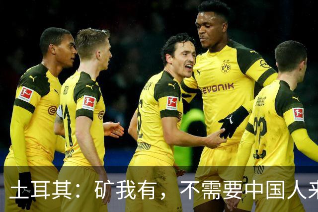 土耳其：矿我有，不需要中国人来，只要你教我怎么把石头变成钱！
