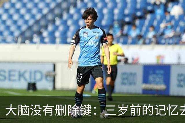 大脑没有删除键：三岁前的记忆去哪了？