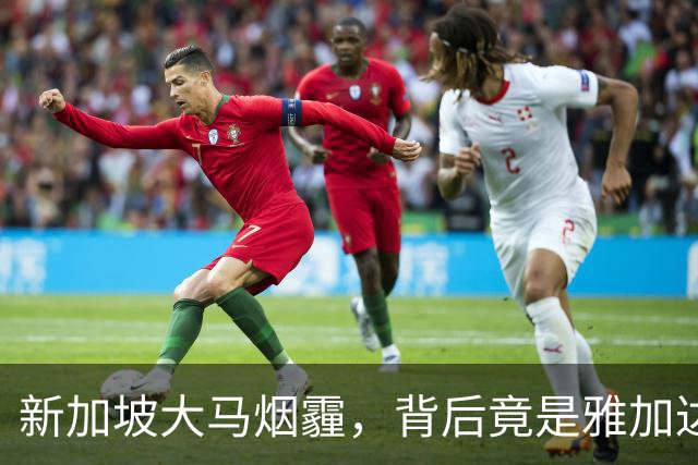 新加坡大马烟霾，背后竟是雅加达纵容！