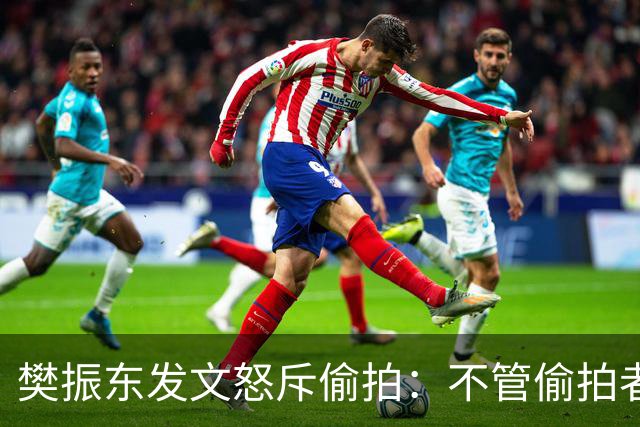 樊振东发文怒斥偷拍：不管偷拍者是什么身份什么心态什么目的，都无法改变不尊重他人、侵犯他人隐私的本质；敬人者，人恒敬之