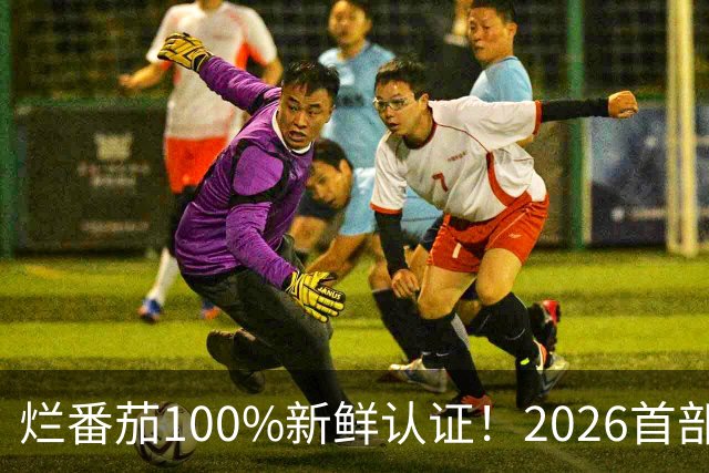 烂番茄100%新鲜认证！2026首部
