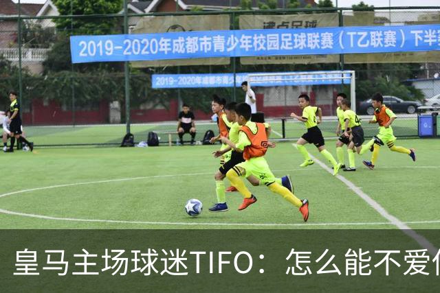 皇马主场球迷TIFO：怎么能不爱你，你一次又一次成为欧洲冠军